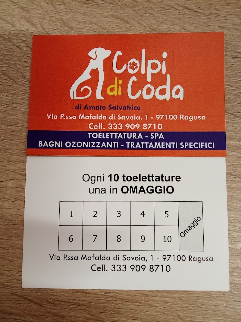 Colpi di coda - Foto 6