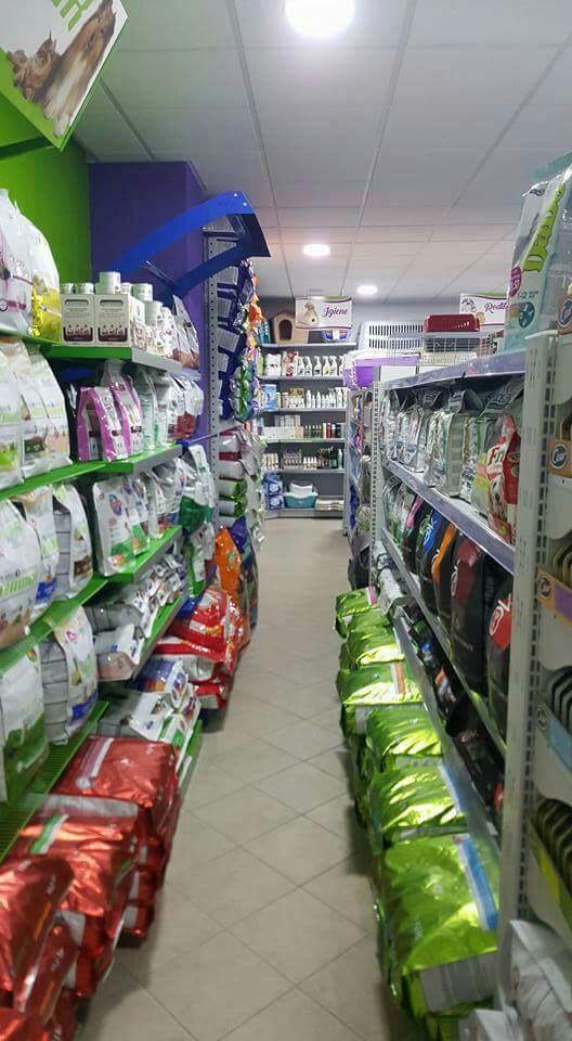 Colpi di Coda - Foto 1