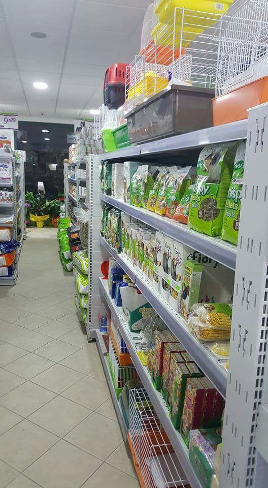 Colpi di Coda - Foto 4