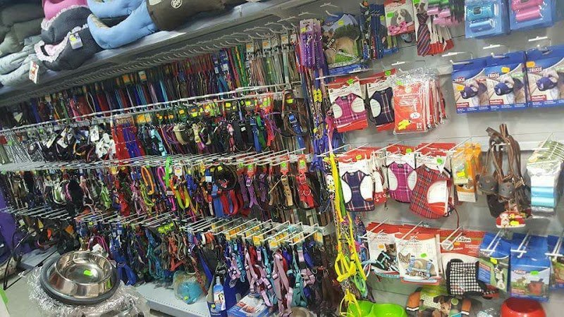 Colpi di Coda - Foto 6