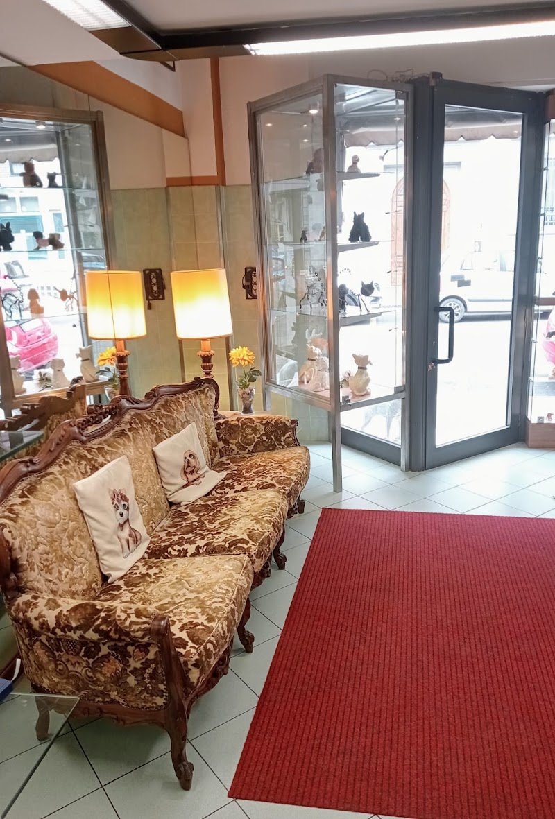 Corrado dog stylist - Foto 1