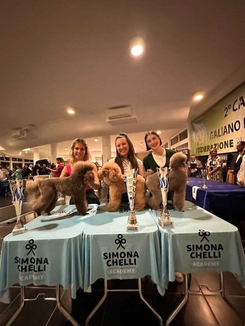 Corsi di toelettatura Simona Chelli Academy - Foto 1