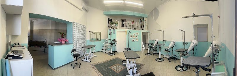 Corsi di toelettatura Simona Chelli Academy - Foto 2