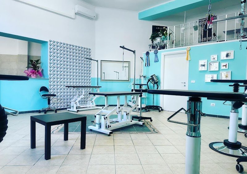 Corsi di toelettatura Simona Chelli Academy - Foto 5