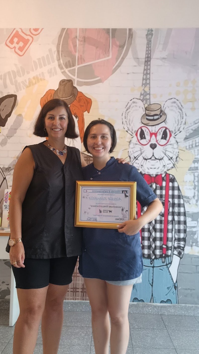 CORSO STUDIO PROFESSIONALE DI TOELETTATURA BERGAMO - Foto 5