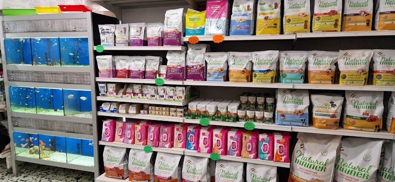 CUCCIOLANDIA di Sgaramella Gaetano - Foto 2