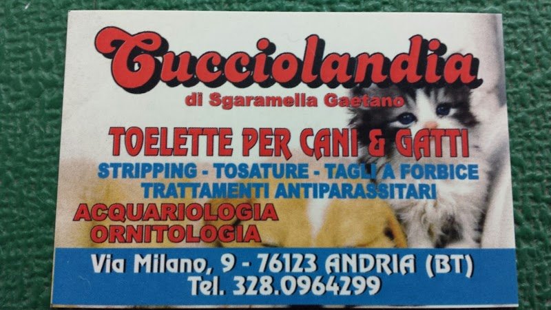 CUCCIOLANDIA di Sgaramella Gaetano - Foto 5