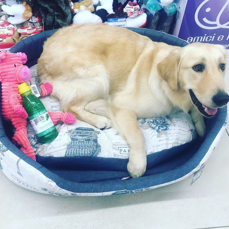 Cucciolandia Faenza - Foto 6