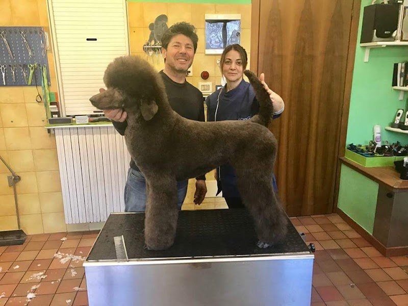 Cucciolandia - Foto 2