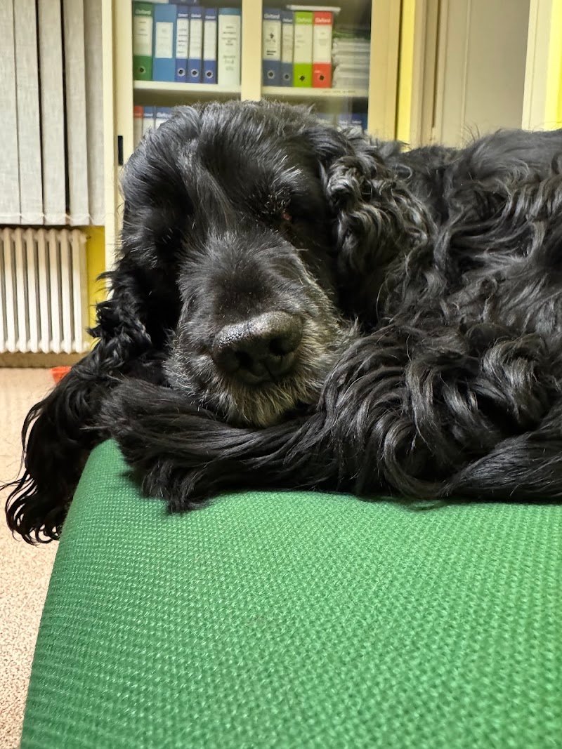 Cucciolandia - Foto 3