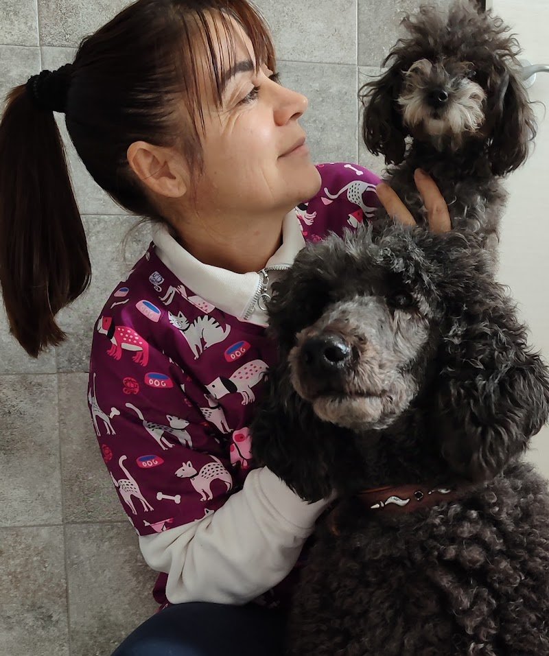 Cucciolandia - Foto 6