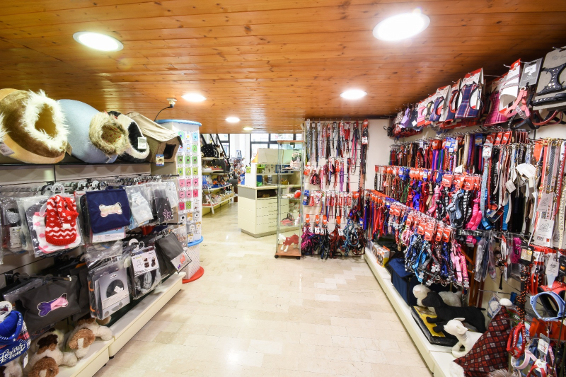 Cucciolandia - Foto 4