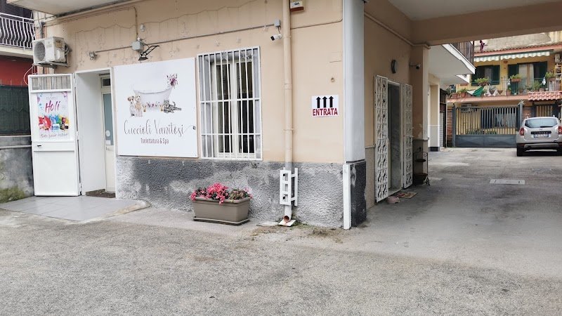 Cuccioli Vanitosi di Antonietta D'Agostino - Foto 1