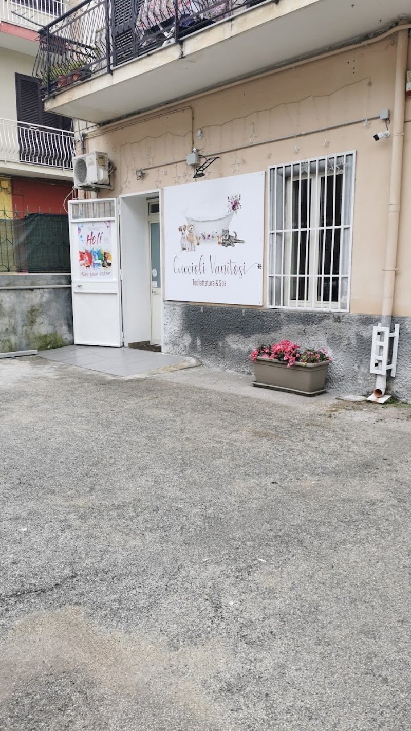 Cuccioli Vanitosi di Antonietta D'Agostino - Foto 2