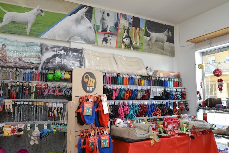 Cucciolo Mania Di Zampi Marco - Foto 1