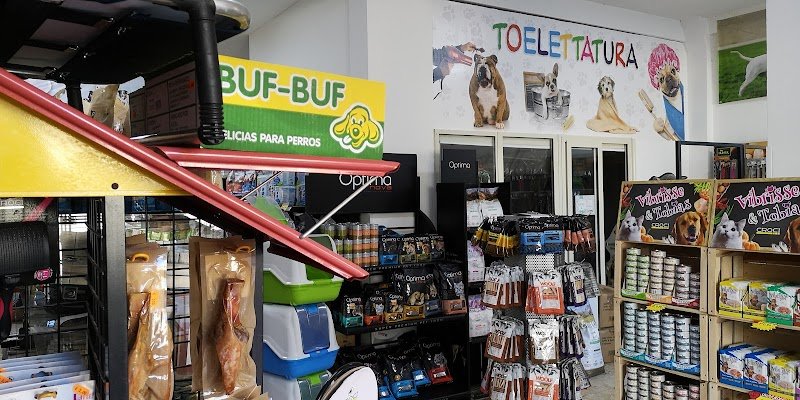 Cucciolo Mania Di Zampi Marco - Foto 2