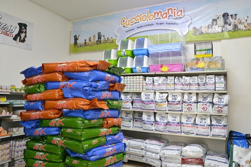 Cucciolo Mania Di Zampi Marco - Foto 3