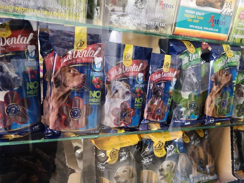 Cucciolo Mania Di Zampi Marco - Foto 4