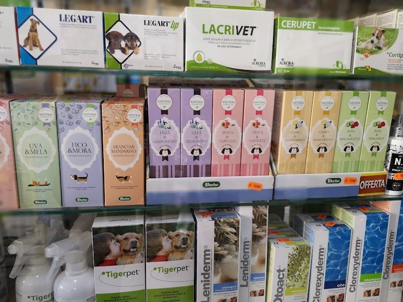 Cucciolo Mania Di Zampi Marco - Foto 5