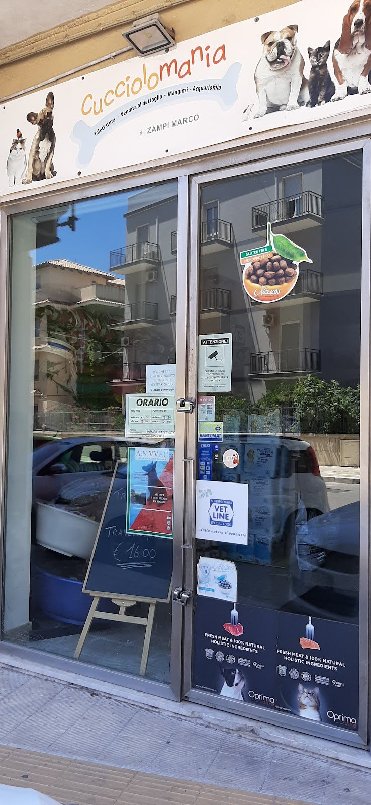 Cucciolo Mania Di Zampi Marco - Foto 6