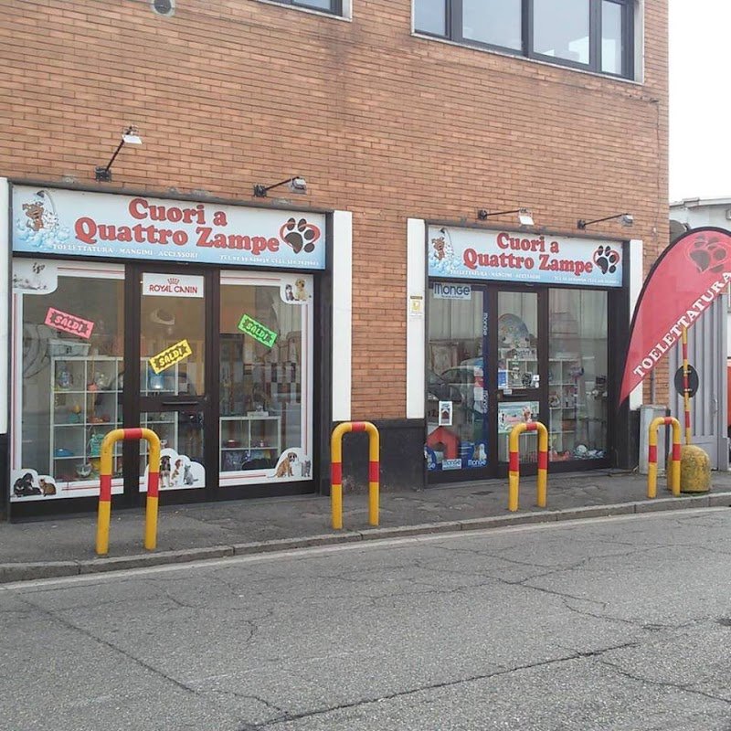 Cuori a Quattro Zampe - Foto 2