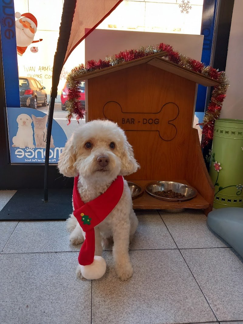 Cuori a Quattro Zampe - Foto 5