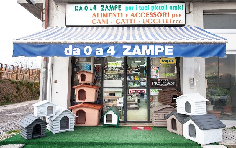 Da 0 A 4 Zampe - Foto 1
