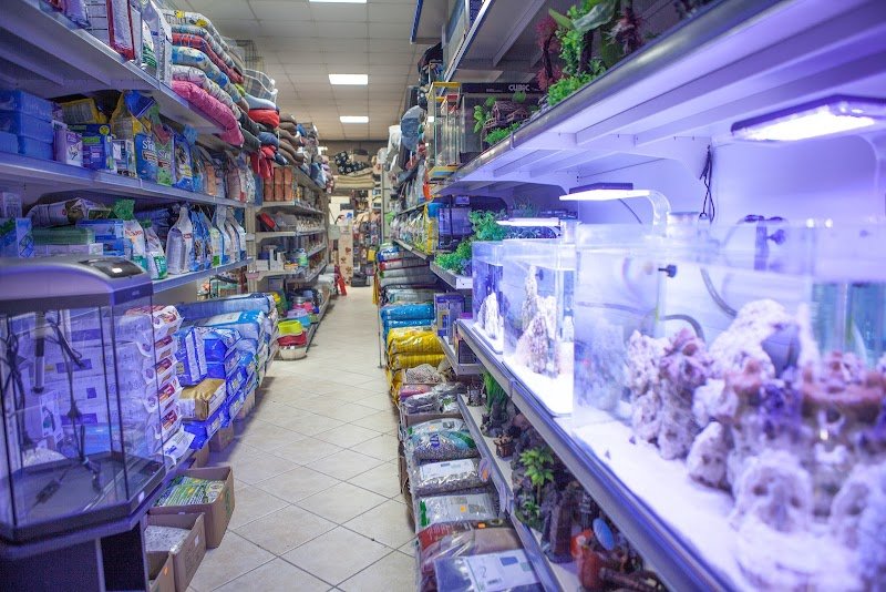 Da 0 A 4 Zampe - Foto 2