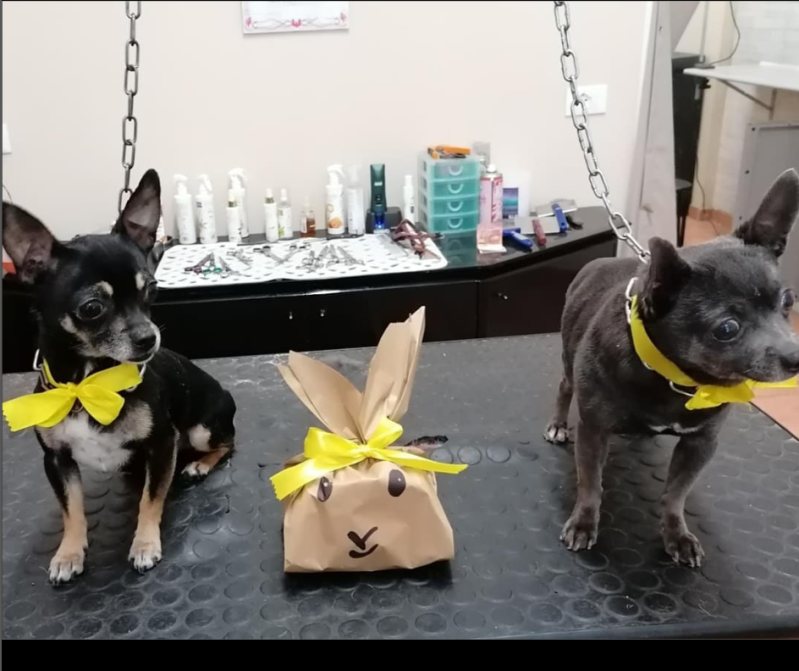 Da Vica -Sala Toeletta - Foto 4