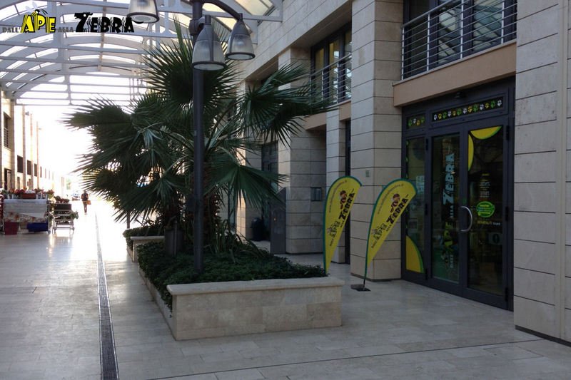 Dall'Ape alla Zebra - Foto 1