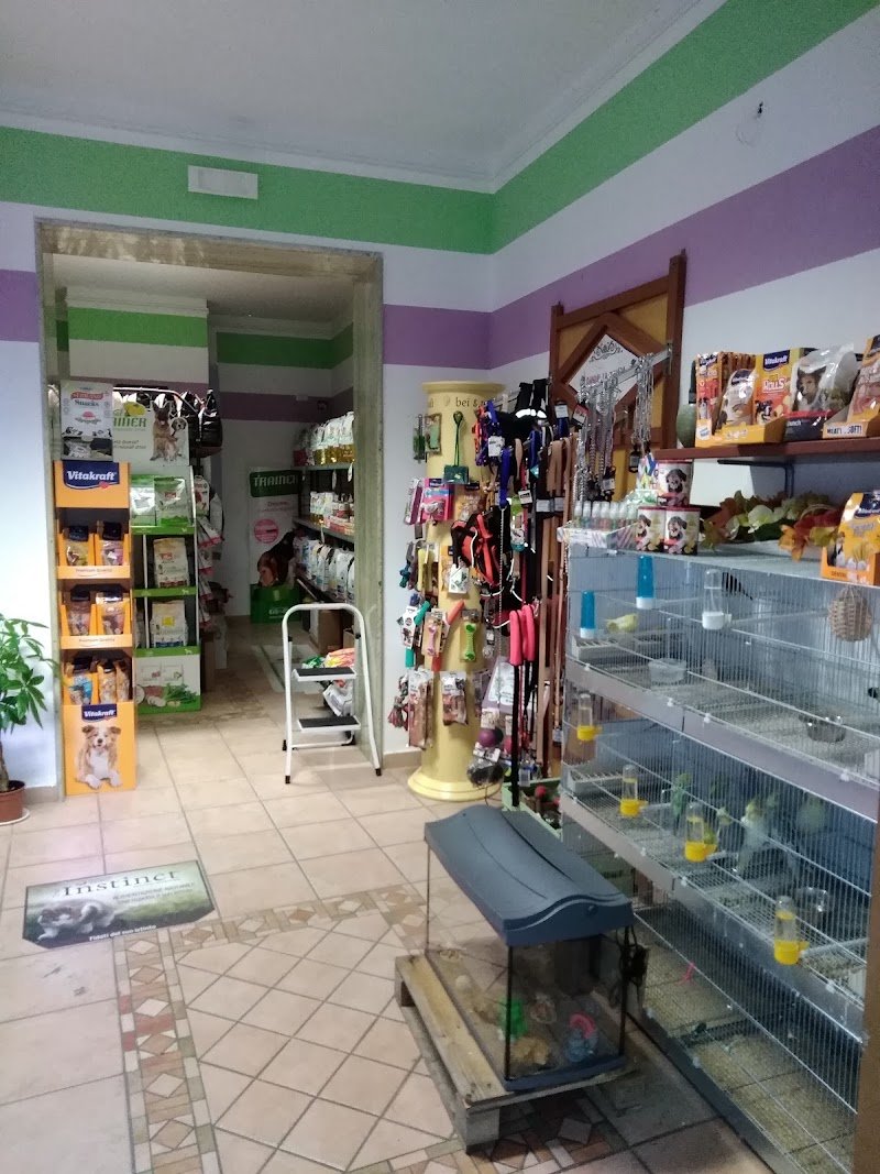 Dammi La Zampa Alimenti e Accessori per Animali - Foto 3