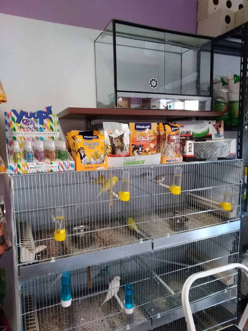 Dammi La Zampa Alimenti e Accessori per Animali - Foto 2