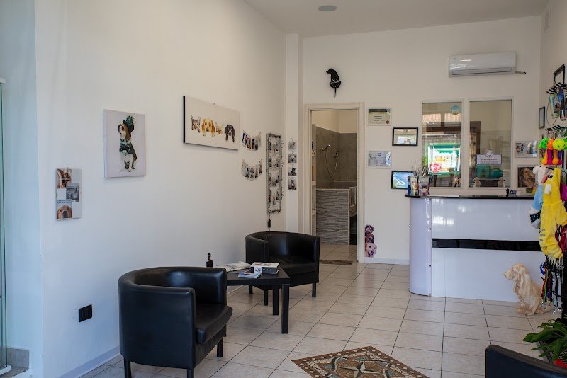 Daniele Ventura Grooming Center - Foto 6