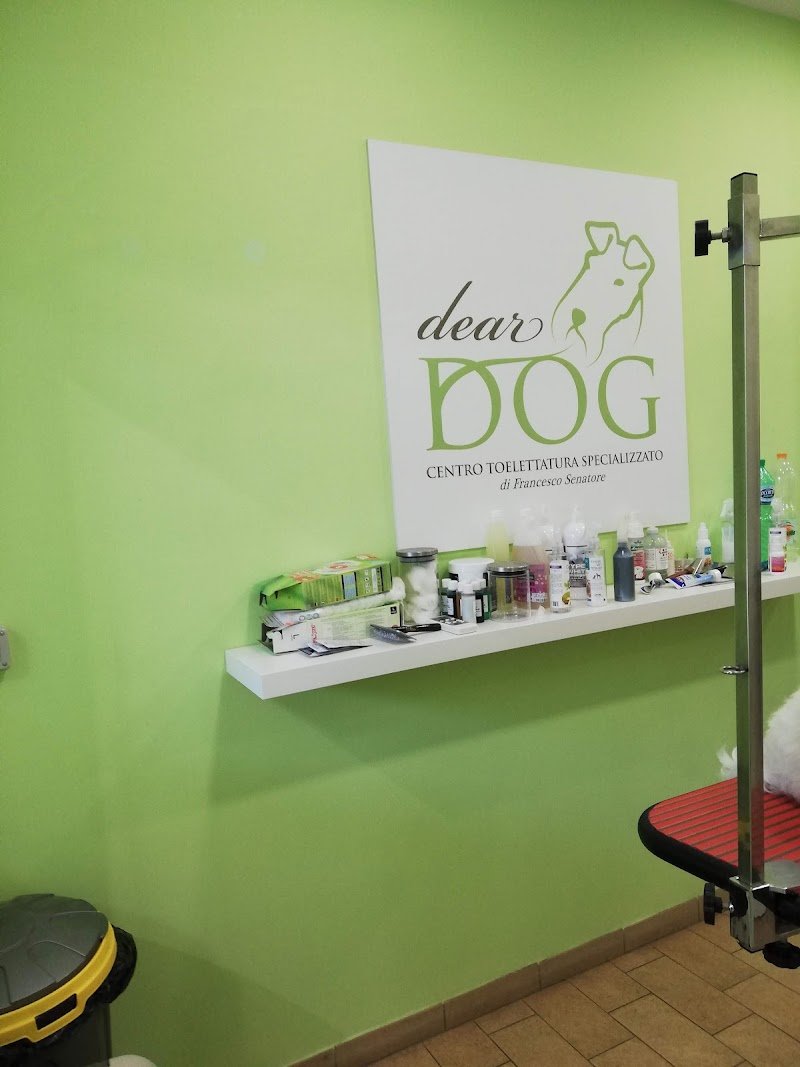 Dear Dog Toelettatura - Foto 5