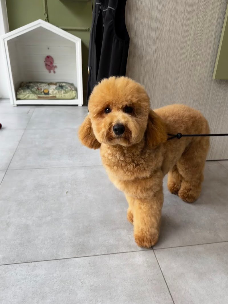 DeCouture City - Foto 1