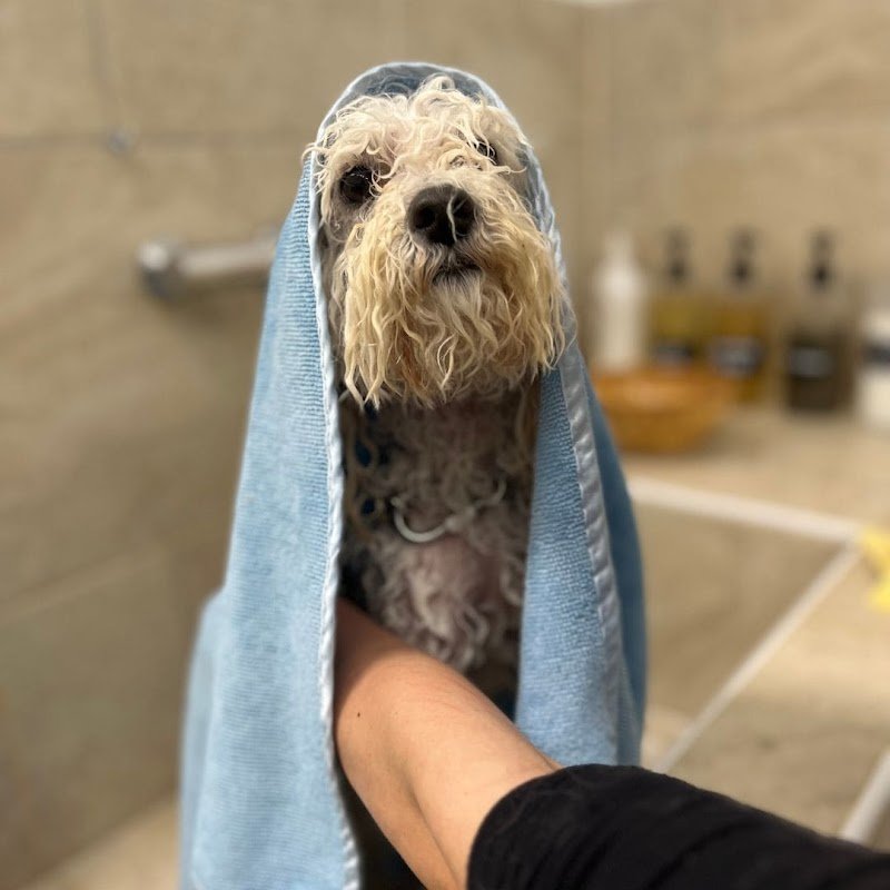 DeCouture City - Foto 2