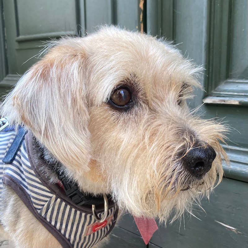 DeCouture City - Foto 4