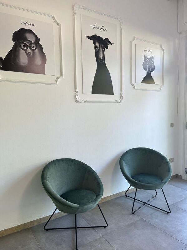 DeCouture City - Foto 6