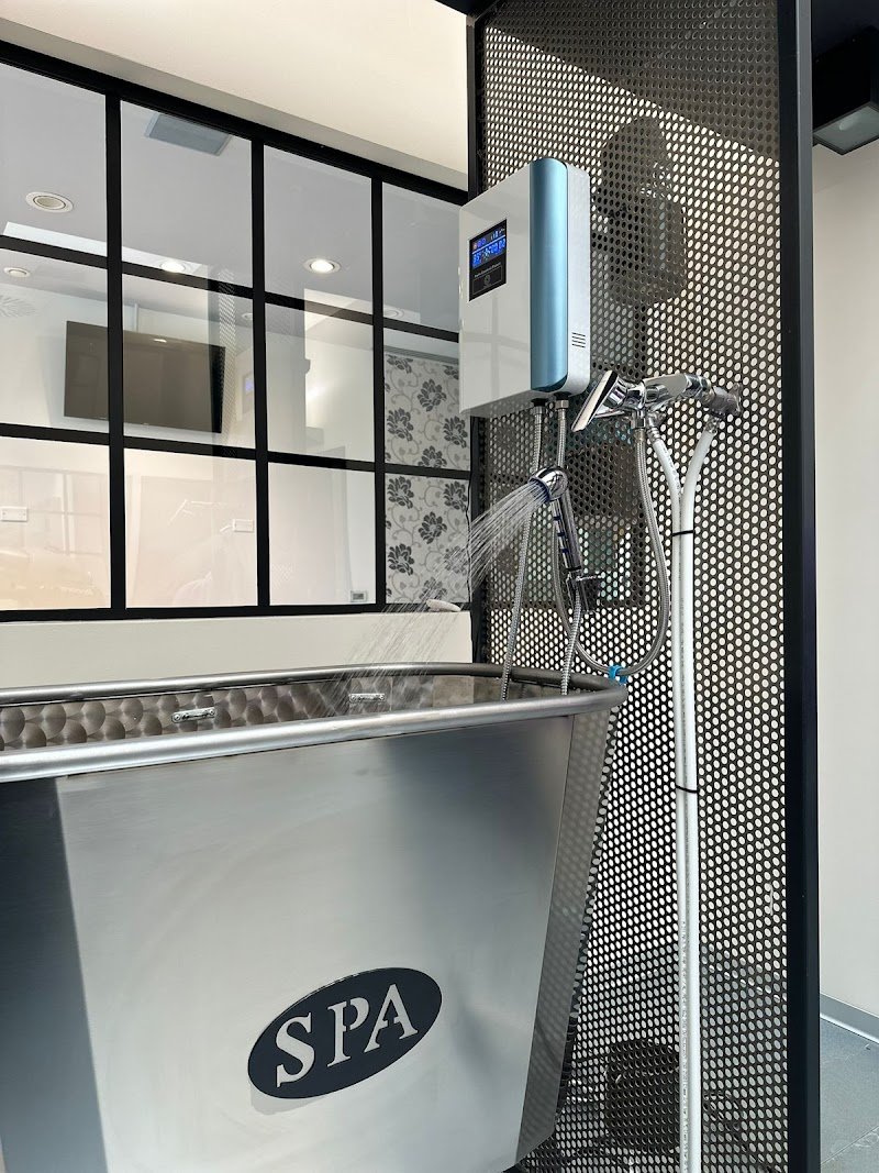 DeCouture Olmi - Toelettatura - Foto 3