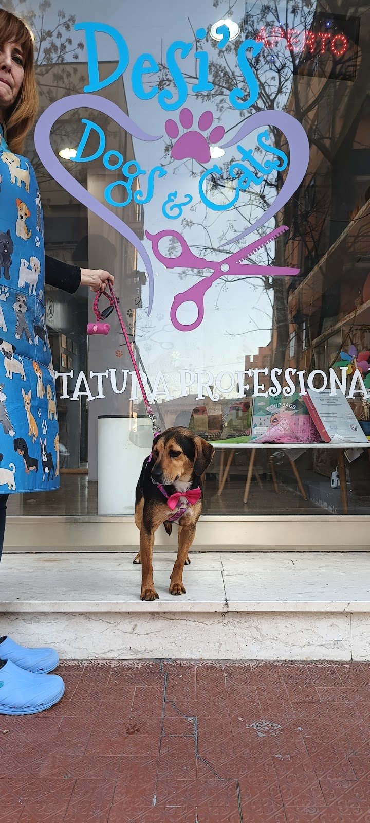 DESI'S DOGS & CATS - Foto 4