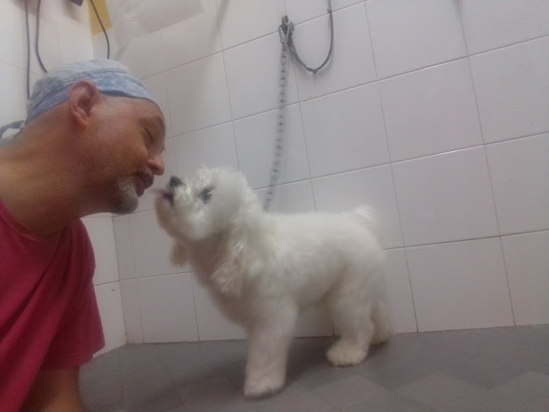 Di Palo Andrea - Foto 1