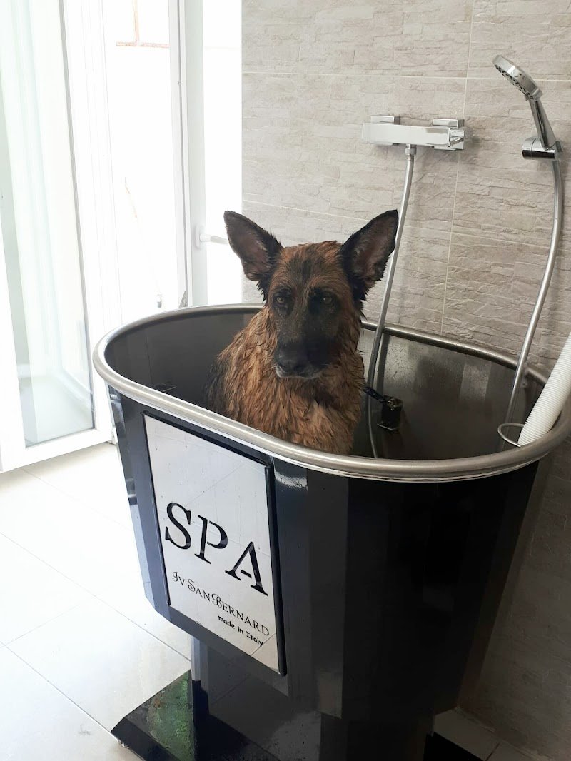 Dog Art Toelettatura & SPA - Foto 1