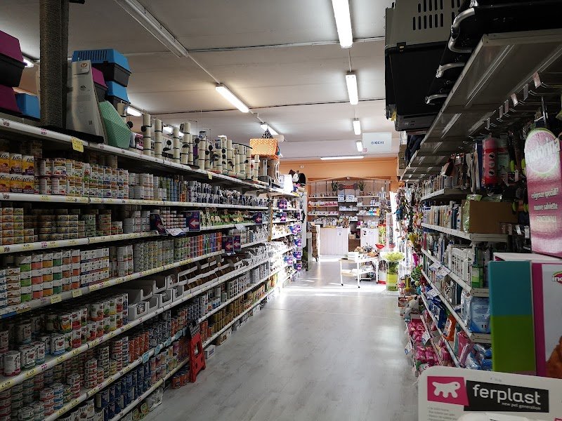 Dog & Cat Market - Foto 3