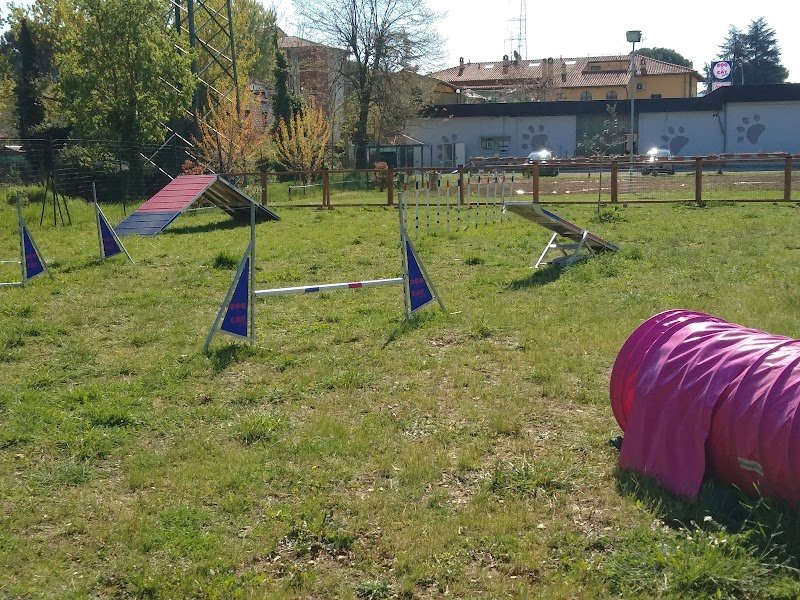 Dog & Cat Market - Foto 4