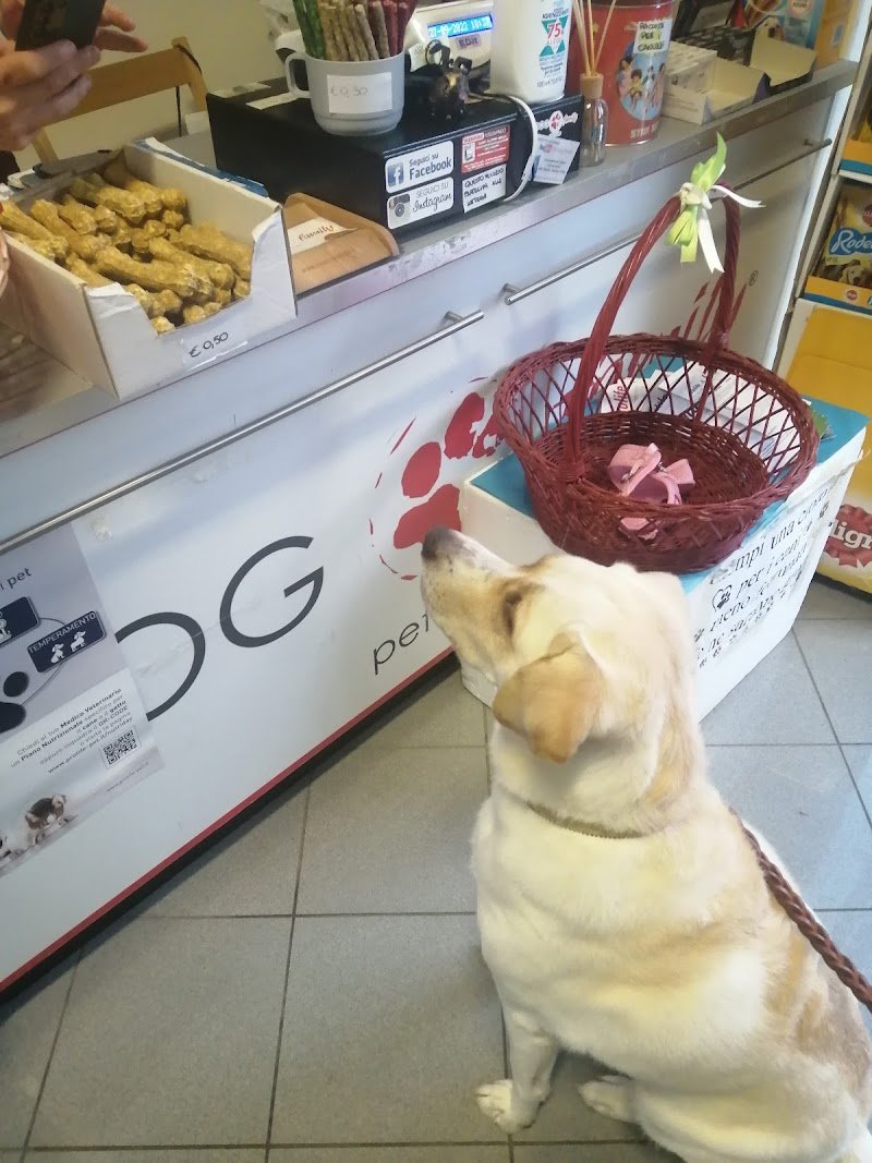 Dog Family pet store - Foto 1