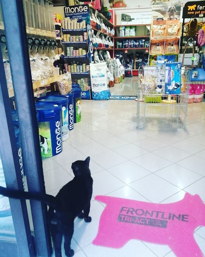 Dog Family pet store - Foto 3