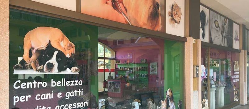 Dog Fashion Star toelettatura per cani ed animali - Foto 1