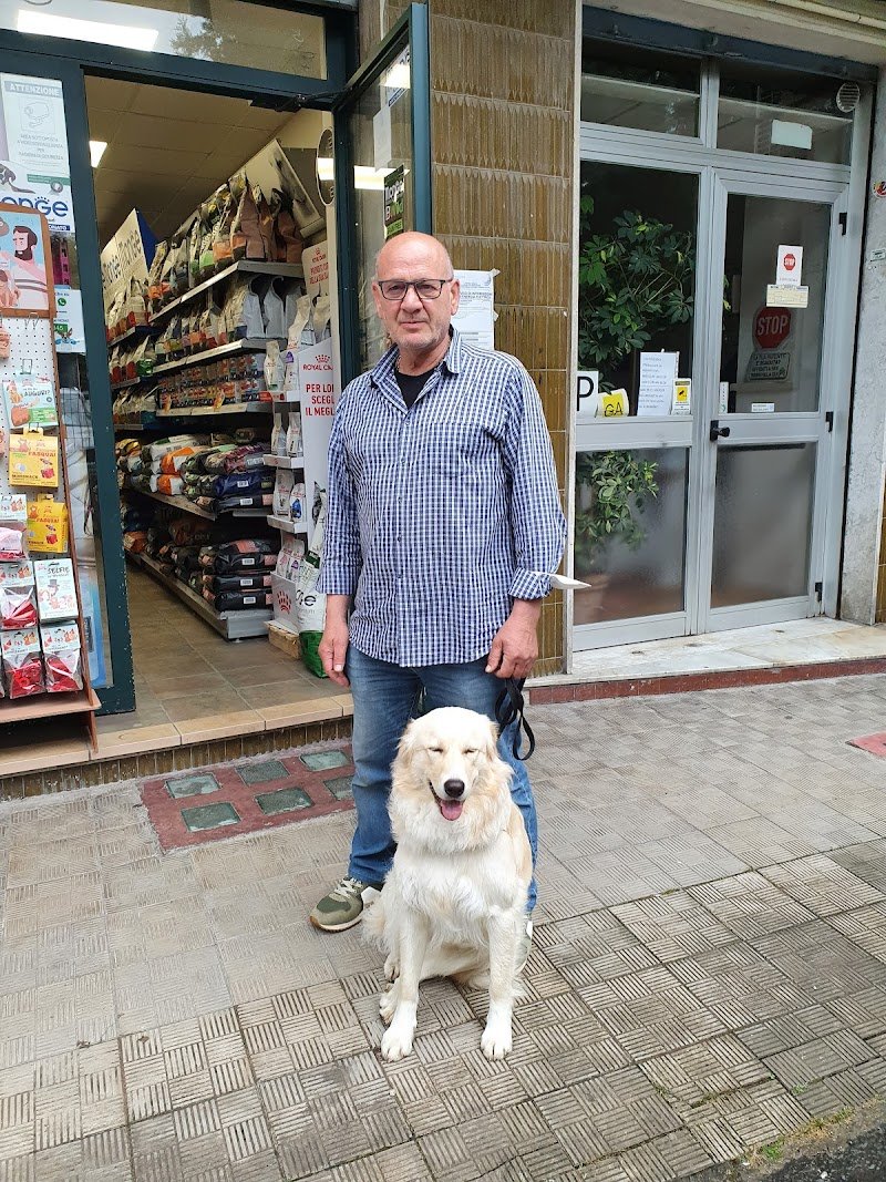 Dog House Benevento - Foto 6