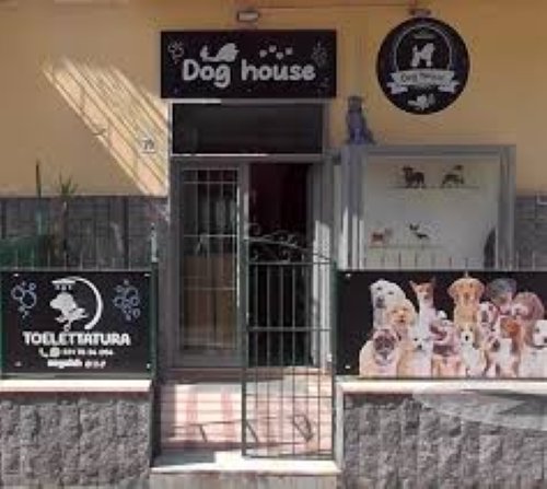 Dog House - Tolettatura - Foto 3