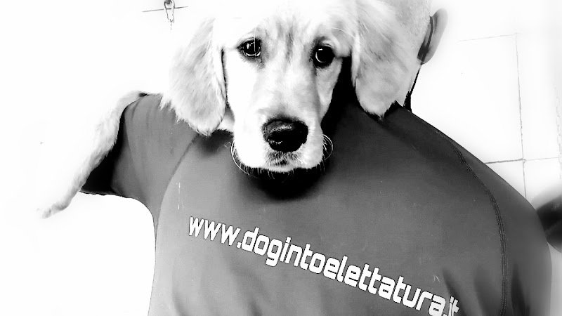 Dog In Toelettatura Di Panattoni Cinzia - Foto 1